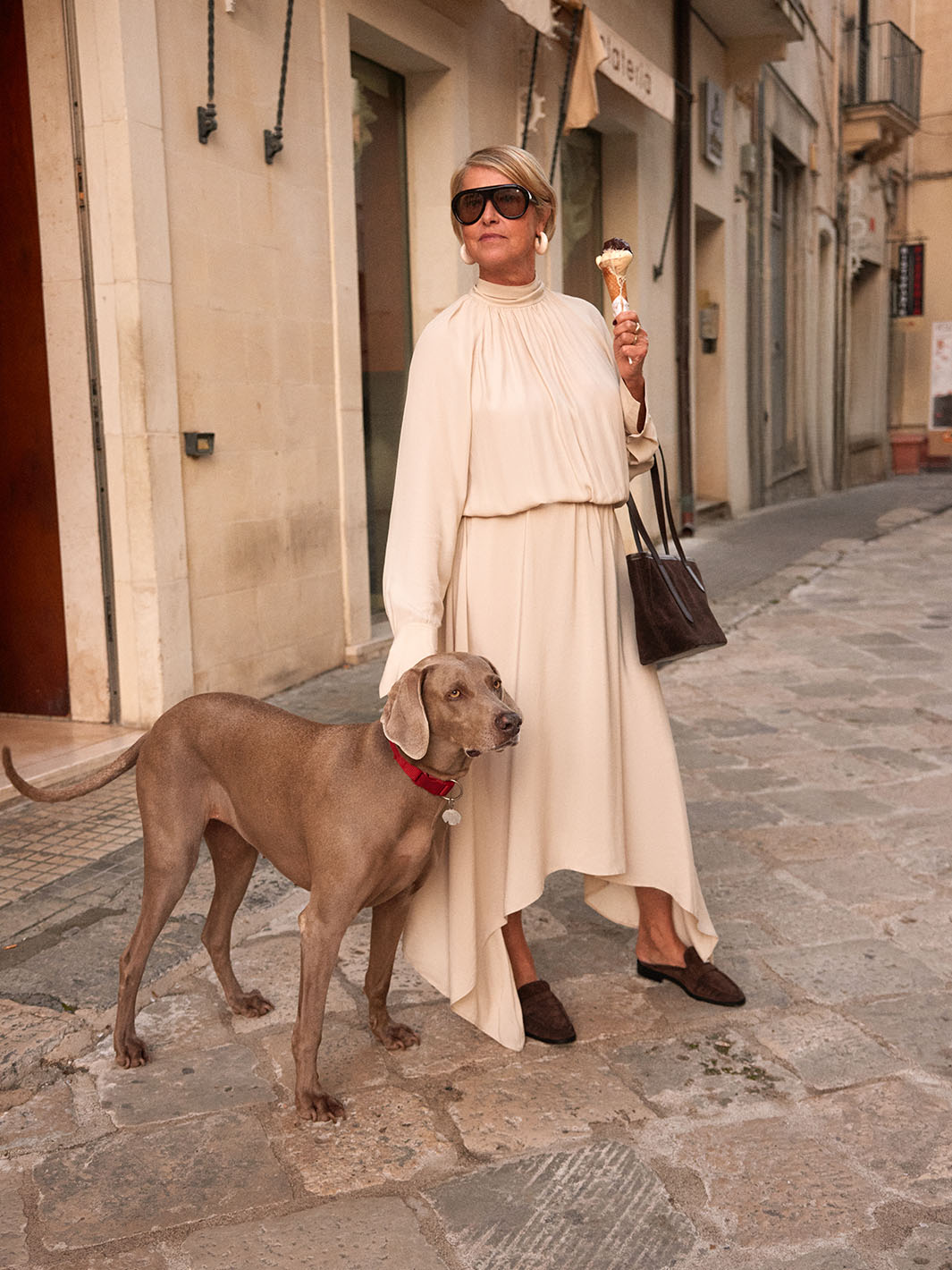 Gaiba Walnut Suede/Leather Mini tote bag
